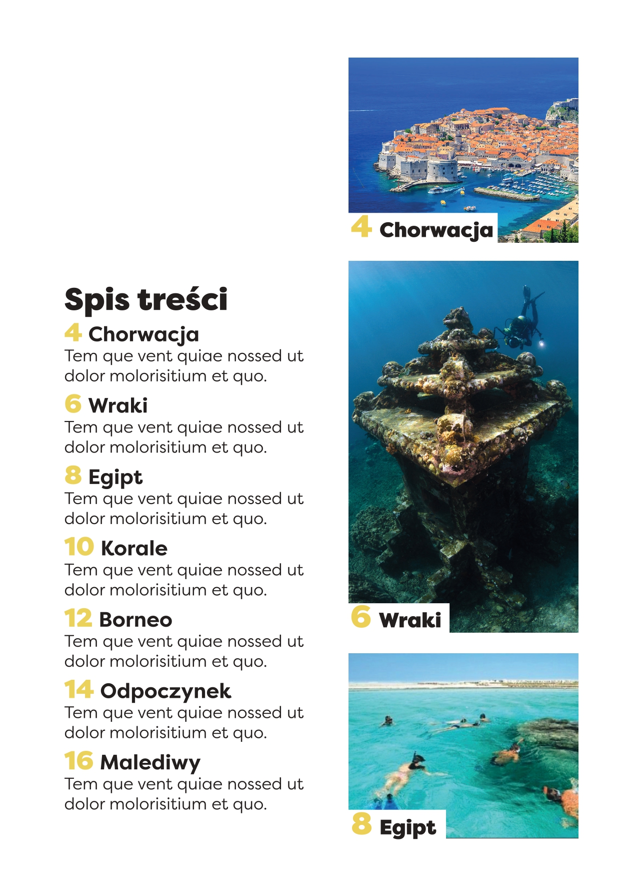 katalog